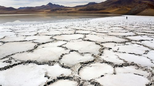 Cum alimentează boom-ul tehnologiei verzi o altă criză de mediu: Extracția de litiu usucă deșertul Atacama și amenință comunitățile indigene din Chile