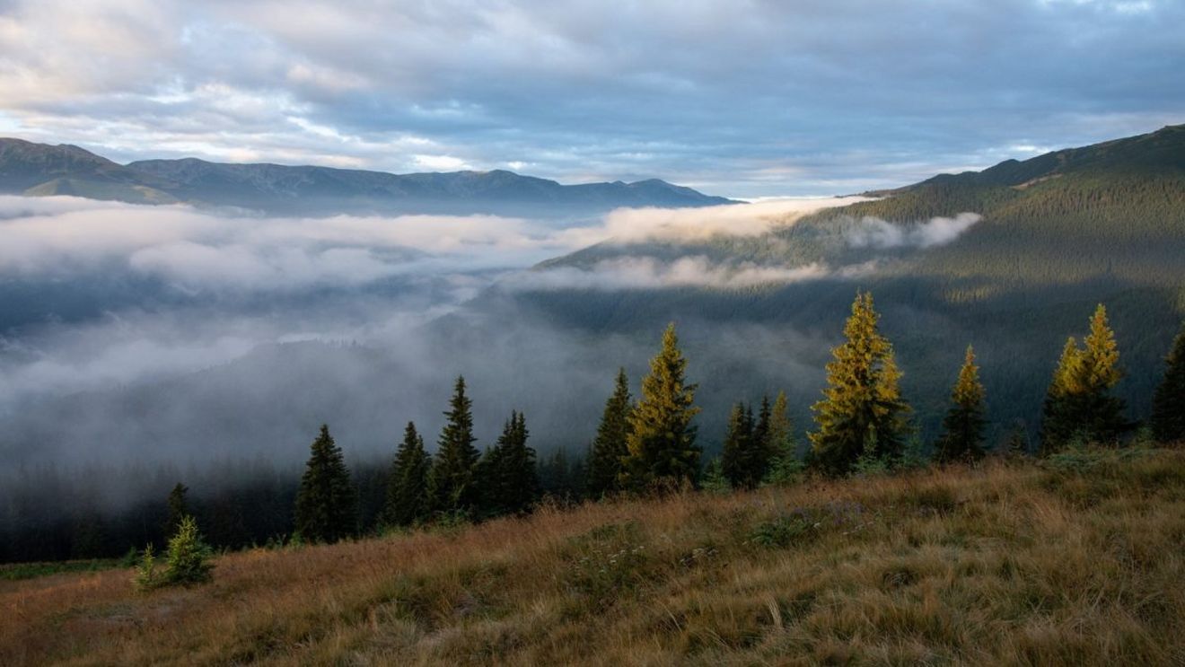 "Cobor între stejari", festival organizat de Fundaţia Conservation Carpathia / Competiții de ciclism, drumeții și mâncare tradițională / Concerte Mădălina Pavăl & Orchestră, Simion Bogdan Mihai şi Lăutarii de Mătase
