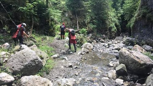 Trei turiste din Cluj s-au rătăcit în Munţii Trascăului, în Masivul Bedeleu, după ce indicatoarele turistice au fost distruse de necunoscuţi
