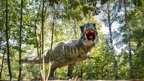 Rămăşiţele unui strămoş al lui T-Rex, uitate jumătate de secol într-un institut mongol / Noua descoperire rescrie istoria familiei de dinozauri