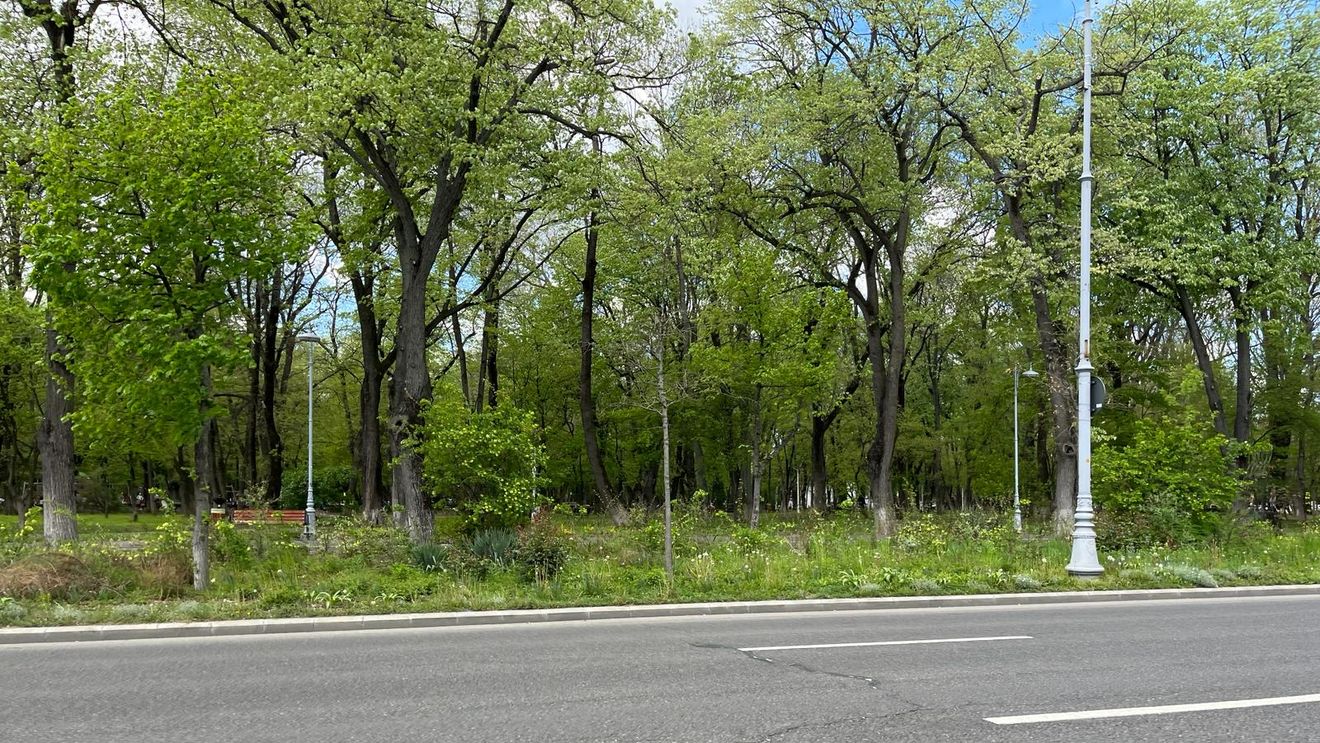 Clotilde Armand anunţă patru păduri urbane în Sectorul 1, finanţate prin PNRR / Unde vor fi plantați 73.000 de puieți forestieri