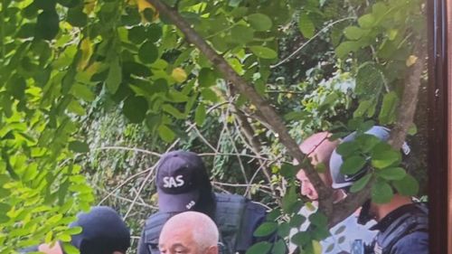 Pistolarul din Gorj a fost prins de polițiști, pe un câmp - surse