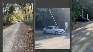 Federația Greenfield a deschis traficul auto prin Pădurea Băneasa, printr-un gest unilateral, „în calitate de beneficiar al contractului cu Romsilva” / Filmări cu mașini - martori / Surse: Romsilva cedează în folosință trei drumuri, nu doar unul singur
