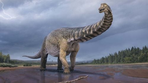 Dovezi ale existenței unor dinozauri gigantici: Oasele unui Titanosaur, descoperite lângă un oraș din Bulgaria 