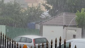 VIDEO Ploaie puternică în unele cartiere din București. Au căzut doi copaci și a fost avariată o mașină