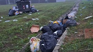 Mormane de gunoaie lăsate în urmă la Țebea de românii care l-au comemorat pe Avram Iancu
