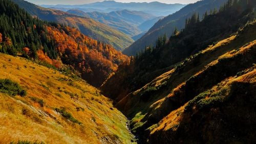 Cadavrul unui bărbat, descoperit de un cioban pe munte în Maramureș, pe o rută frecvent utilizată de cetăţeni ucraineni