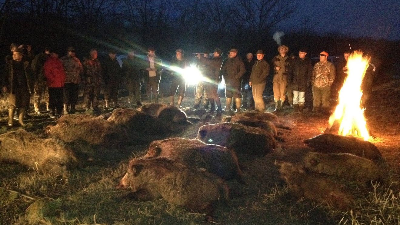 RISE Project: Directorii Tel Drum participau la partide de vânătoare alături de cei care le acordau contracte publice: Liviu Dragnea, Marian Oprișan, Nicușor Constantinescu, Paul Stănescu