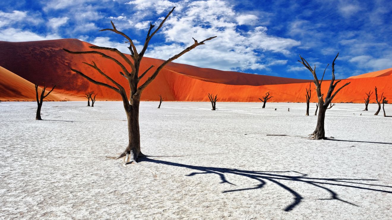 Namibia cere din nou Germaniei reparaţii pentru genocidul populaţiilor herero şi nama