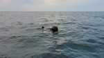 BREAKING | Un nou incident în Marea Neagră: O navă sub pavilion Liberia, care transporta cărbuni din SUA în Ucraina, a fost avariată lângă Sfântu Gheorghe / S-ar fi lovit de o dronă sau mină marină