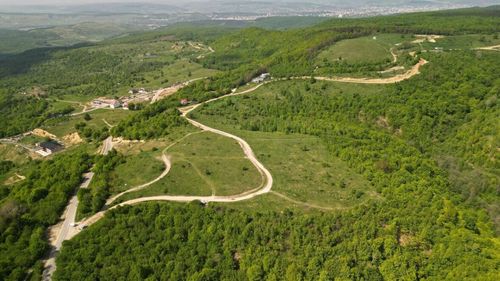 Activiștii de mediu susțin că Academia Română a dat aviz favorabil pentru o nouă arie protejată lângă Cluj-Napoca: Făget Sud