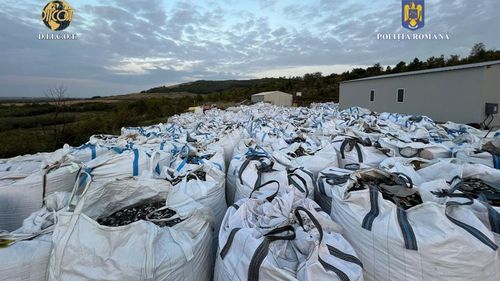 Transporturi cu deşeuri din Italia, depistate în incinta unei societăţi comerciale din judeţul Bihor
