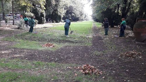 Nicușor Dan: Companiile municipale vor fi desființate, nu vom reveni asupra acestei decizii / Serviciile transferate de Primăria capitalei la Compania Parcuri și grădini vor fi retrase în prima ședință de consiliu