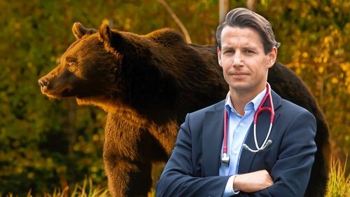 Agent Green: Ordonanța care permite intervenția de urgență în cazul urșilor duce la executarea a sute de urși nevinovați. Organizația a lansat o petiție