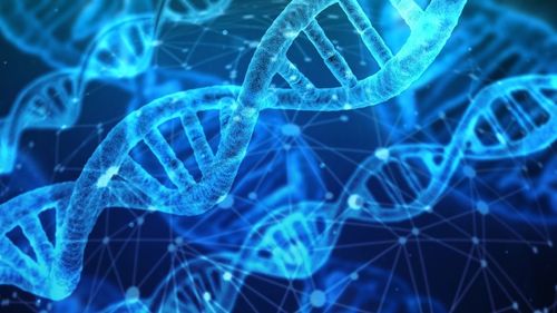 Cercetătorii au anunțat descoperirea unui anticorp monoclonal capabil să neutralizeze toate variantele COVID-19