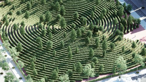 La Viena va apărea primul parc cu distanţare socială: Un labirint în care oamenii nu se întâlnesc niciodată