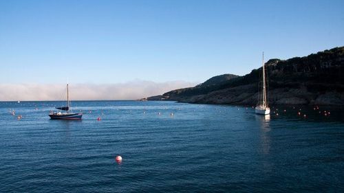 Alertă și plaje închise după ce mai mulți rechini s-au apropiat de destinații de pe Costa Brava, Spania