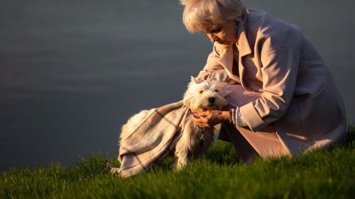 Când sănătatea cedează, speranța are patru lăbuțe: Cum animalele de companie ajută bolnavii să lupte mai departe