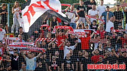 Trei suporteri dinamoviști au fost reținuți și doi puși sub control judiciar, după ce au tâlhărit un susținător din Capitală al echipei FC Argeș