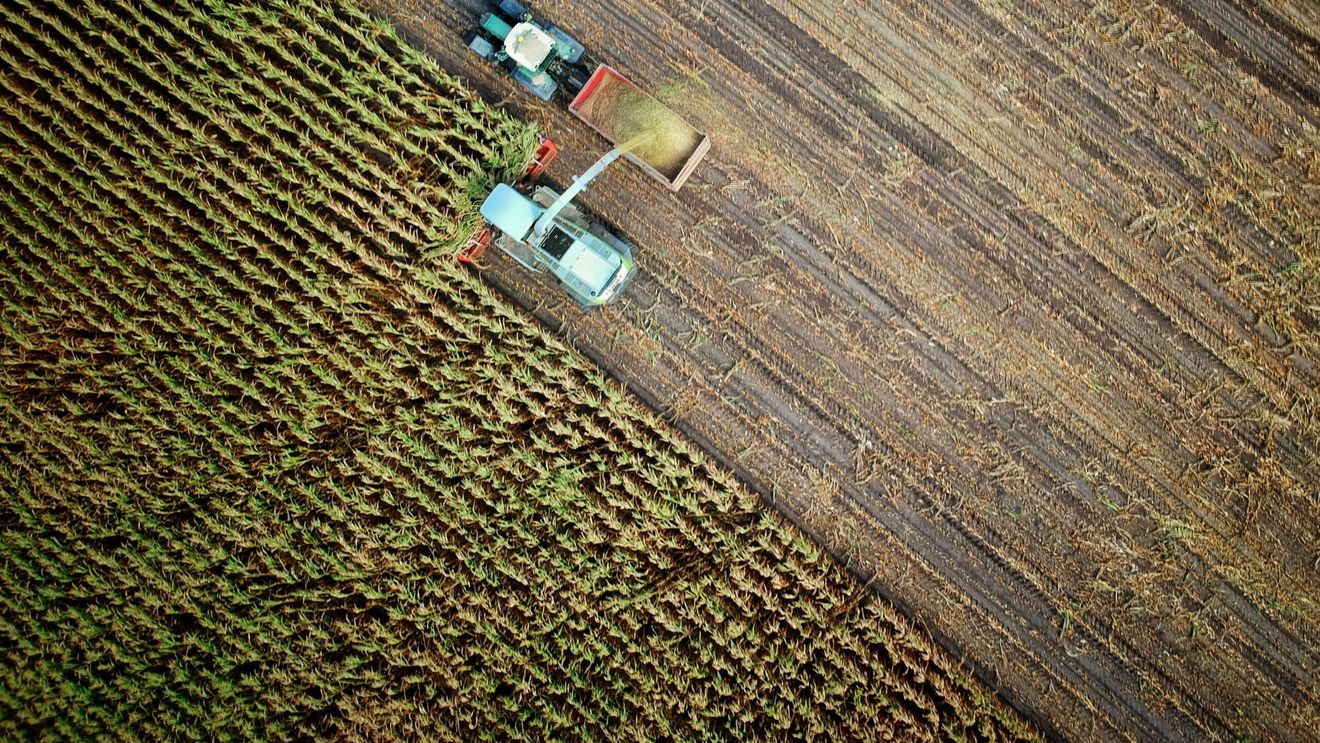 ANALIZĂ | Cine va mai produce hrana Europei? Radiografia unui schimb blocat de generații în agricultură / Cum e în România
