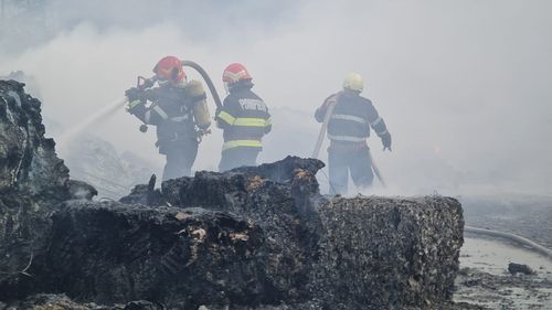 Incendiu puternic în Parcul ”Nicolae Romanescu” din Craiova, unde ard cinci hectare de vegetație uscată