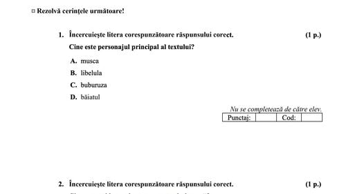 Subiectele de la Evaluarea Națională de clasa a IV-a 2025 – Limba română. Elevii au avut de prezentat „patru motive pentru care este bine să ai prieteni adevărați”