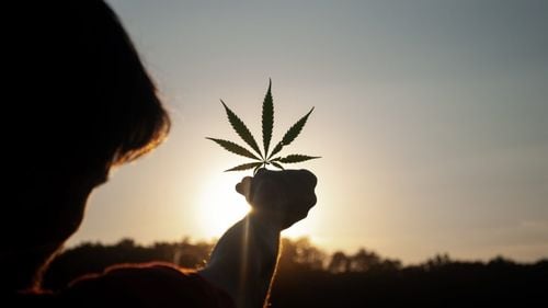 Dezincriminarea posesiei de canabis pentru consum propriu în limita a 3 grame și înlocuirea cu amendă, ca în unele state UE și Thailanda - proiect de lege REPER