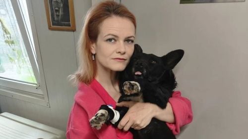 EXCLUSIV | Dr. Emma Stratulat, fondatoarea Save Our Paws: „Salvez câini și pisici de 20 de ani. Pentru că animalele chiar sunt altfel”