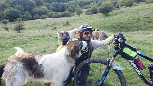 O asociație cere sprijin în privinţa câinilor agresivi întâlniţi de drumeţii care străbat Via Transilvanica / ”În anumite situaţii, câinii s-au obişnuit şi nu mai atacă drumeţii”