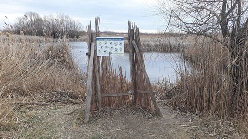 Nicușor Dan: Mâine vom depune dosarul pentru preluarea Parcului Văcărești/ Îl vom face o zonă de atracție