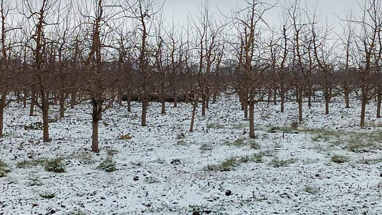 Poliția de frontieră din Republica Moldova a descoperit o rachetă căzută în nordul țării, aproape de granița cu Ucraina