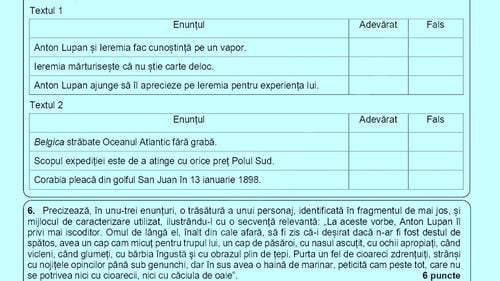 Subiecte Evaluare Națională 2025 – Limba și literatura română. Elevii au avut de scris o compunere despre o întâmplare din excursie, la subiectul II