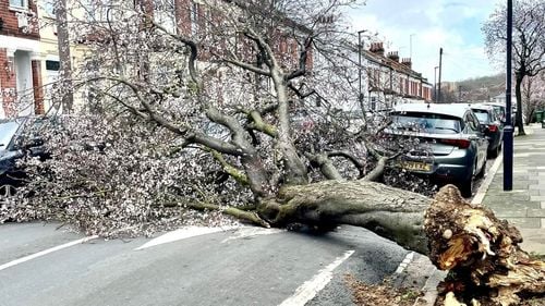 Bilanțul uraganului Eunice în Marea Britanie: Trei morți, peste 200.000 de locuințe fără electricitate, transporturile feroviare, aeriene și navale masiv perturbate