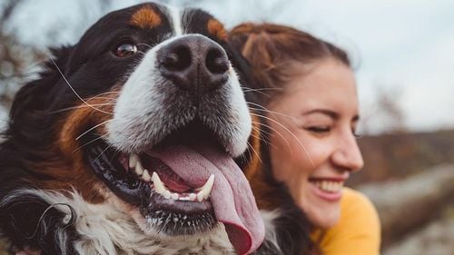 Purina caută startup-uri care să rezolve problemele proprietarilor animalelor de companie. Program de accelerare pentru până la 10 afaceri