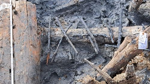 Cimitir cu o vechime de 3.000 de ani, descoperit de arheologi în nordul Italiei