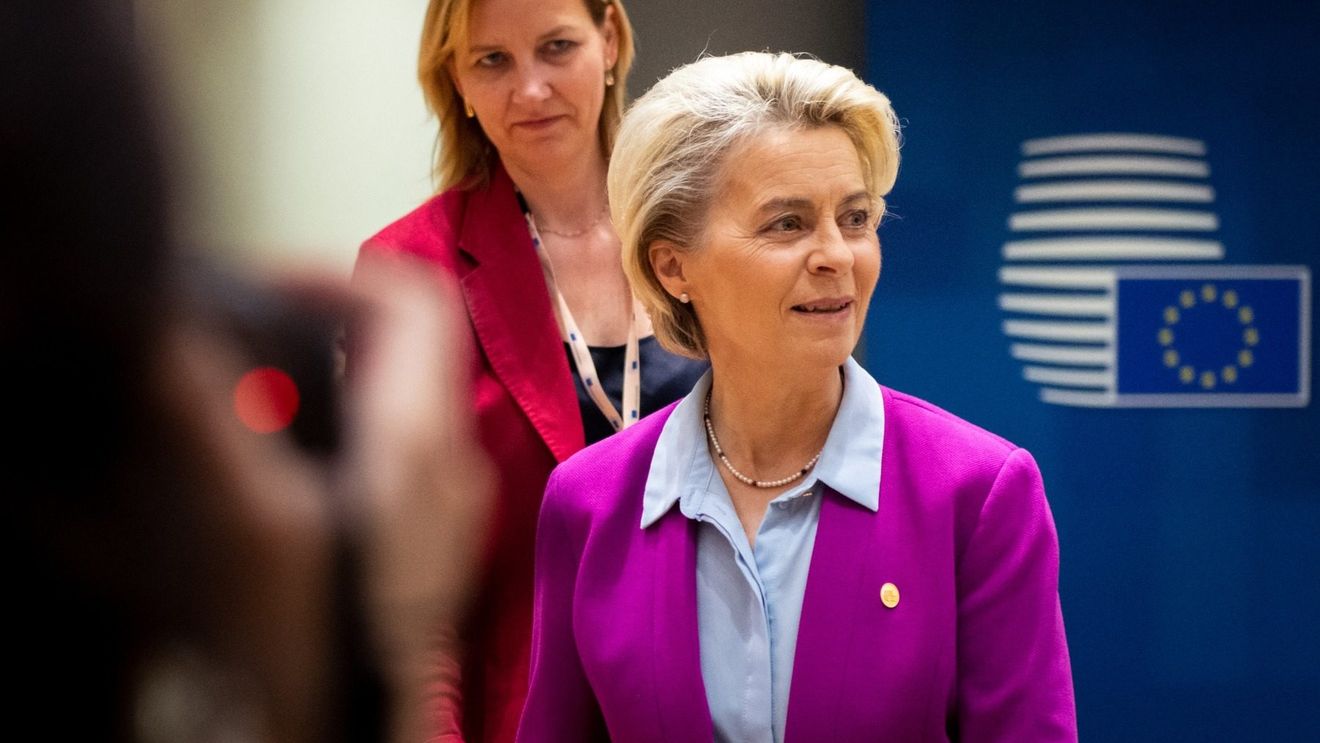 Ursula von der Leyen: Procesul de aderare al Ucrainei la UE este „pe drumul cel bun” / „Este impresionant să vedem viteza, determinarea, precizia cu care progresați"