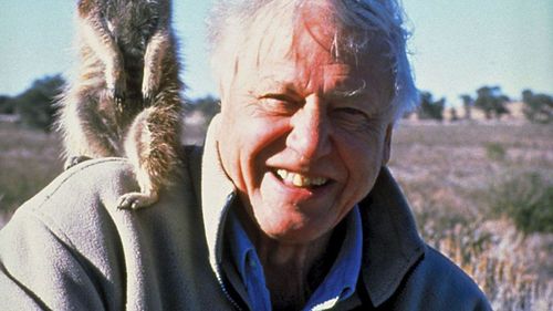 David Attenborough a devenit cel mai în vârstă câştigător al unui Daytime Emmy. Britanicul de 99 de ani a realizat un film Neflix despre un grup de  maimuțe care trăiesc în jungla din Sumatra