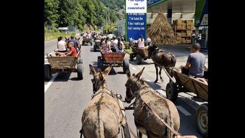 VIDEO Clip realizat cu AI despre viitorul transportului pe Valea Oltului: căruțe trase de măgari / Stațiile de alimentare vând fân și apă, nu benzină și motorină / Cât va mai crește prețul motorinei