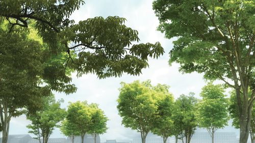 Parcuri plutitoare anti-coronavirus, soluția inedită găsită de danezi pentru distanțarea socială