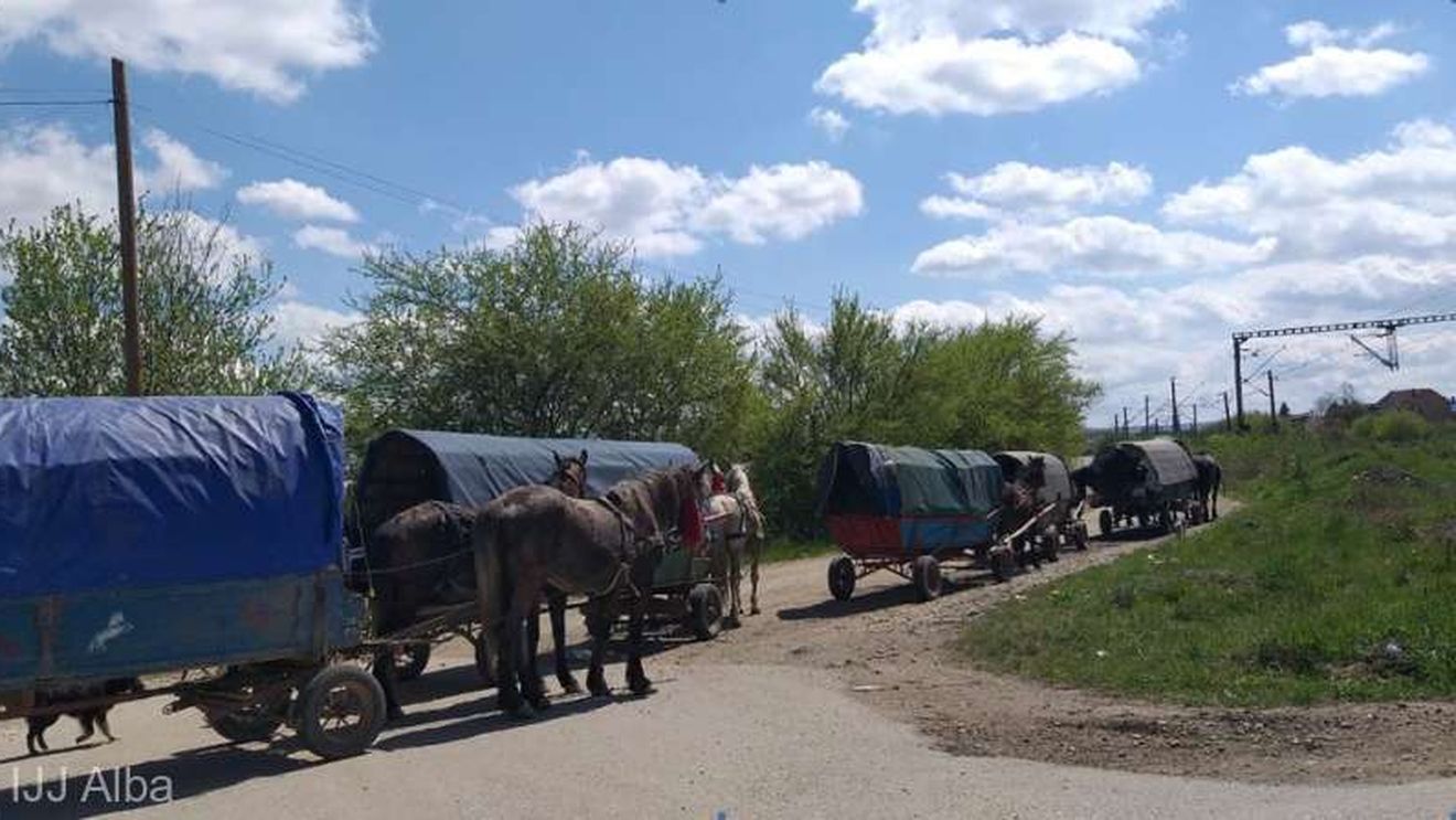 13 persoane în cinci căruțe au parcus 100 de km. Oamenii s-au justificat polițiștilor că se duc să caute de muncă în Sebeș