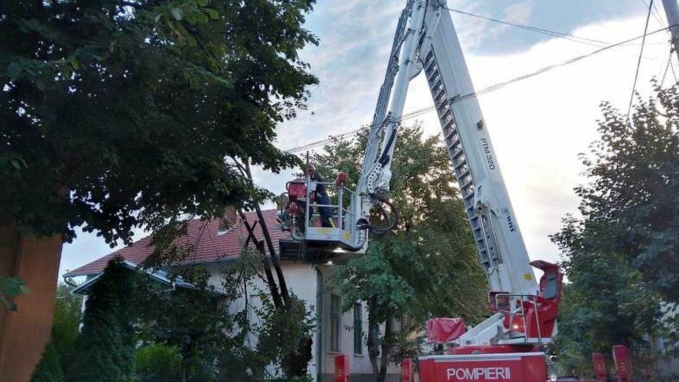 Străzi blocate în municipiul Satu Mare, în urma unei furtuni puternice care a doborât mai mulți arbori
