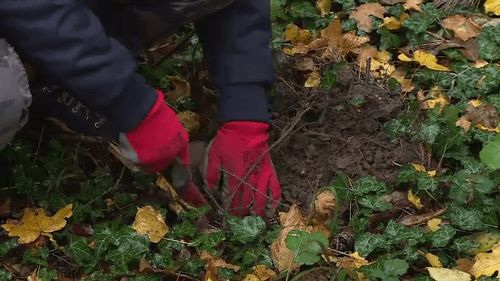 Hobby-ul prin care unii români ajung să primească mii de euro de la stat. Ce echipament este necesar pentru început