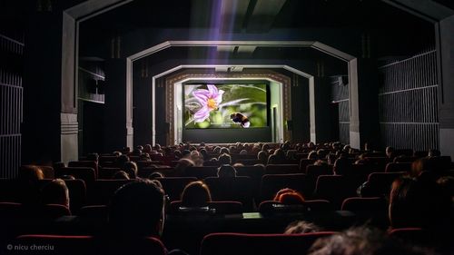 Cinematograful ARTA din Cluj împlineşte 110 ani / E cel mai vechi cinema din țară / Va fi proiectat "Cabaret", film cu opt premii Oscar