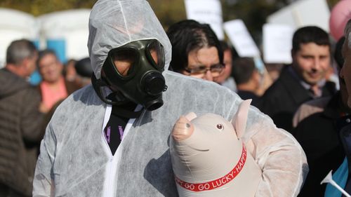 Colegiului Medicilor Veterinari: România riscă să se confrunte cu probleme grave de siguranţă alimentară, din cauza fondurilor insuficiente alocate ANSVSA