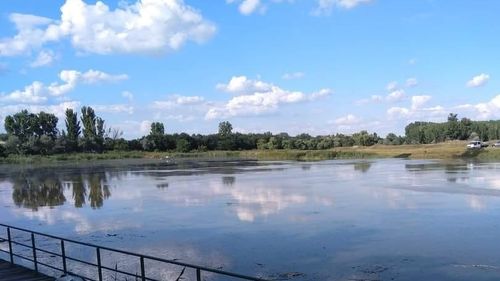 Suspiciuni de gripă aviară la Bârlad, după ce au fost găsite moarte trei lebede pe un lac