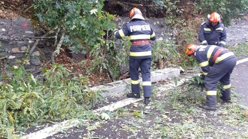 Trafic rutier îngreunat pe DN 7, în zona localităţii Brezoi, în urma unor căderi de pietre şi a prăbuşirii unui copac/ Un autoturism, avariat