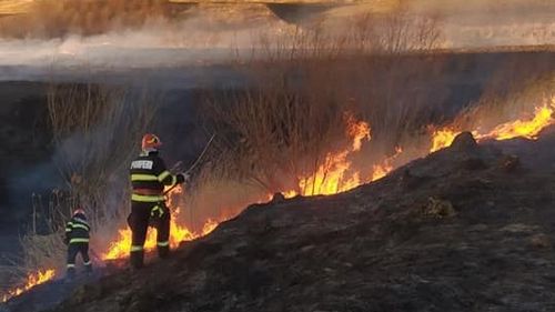 Prahova: Incendiu de vegetație pe circa 60 de hecatre / Pompierii acţionează cu cinci autospeciale de stingere