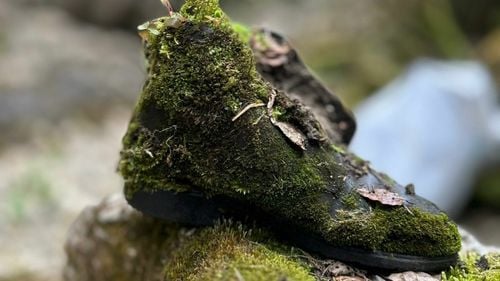 PROIECT: Dreptul la mediu curat, pentru un viitor durabil. Creșterea implicării cetățenilor în atingerea țintelor climatice ale UE (Green-Rights)