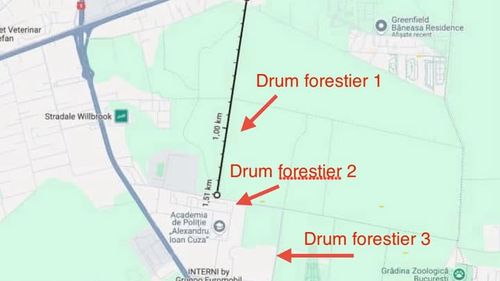 „Directorii din direcțiile silvice pot fi demiși” / Ministra USR Diana Buzoianu cere demiteri după victoria în primă instanță în cazul deschiderii accesului auto pe drumul forestier din Pădurea Băneasa / Romsilva a semnat un contract de peaj cu Federația Greenfield fără consultare publică și fără avizul Ministerului Mediului