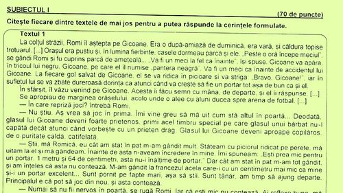 DOCUMENT Subiectele de la Limba română, Evaluarea Națională 2021. Elevii au primit varianta numărul 4 la proba scrisă, două texte la prima vedere cu 16 cerințe și o compunere